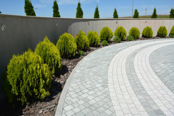 Reliable Wray, CO Driveway Pavers Solutions